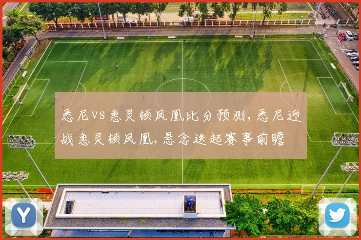 悉尼vs惠灵顿凤凰比分预测,悉尼迎战惠灵顿凤凰,悬念迭起赛事前瞻